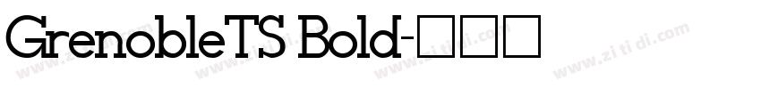 GrenobleTS Bold字体转换